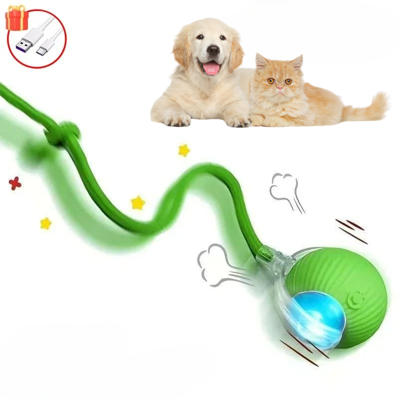 WhiskerChase™ Smart Tail Ball