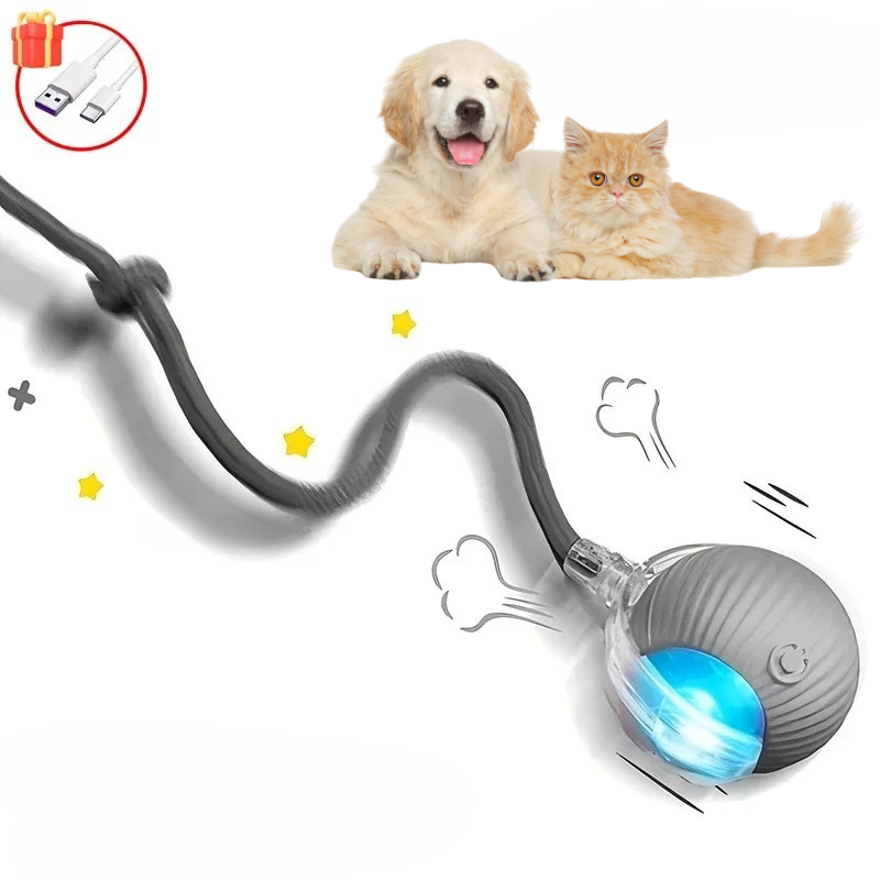 WhiskerChase™ Smart Tail Ball