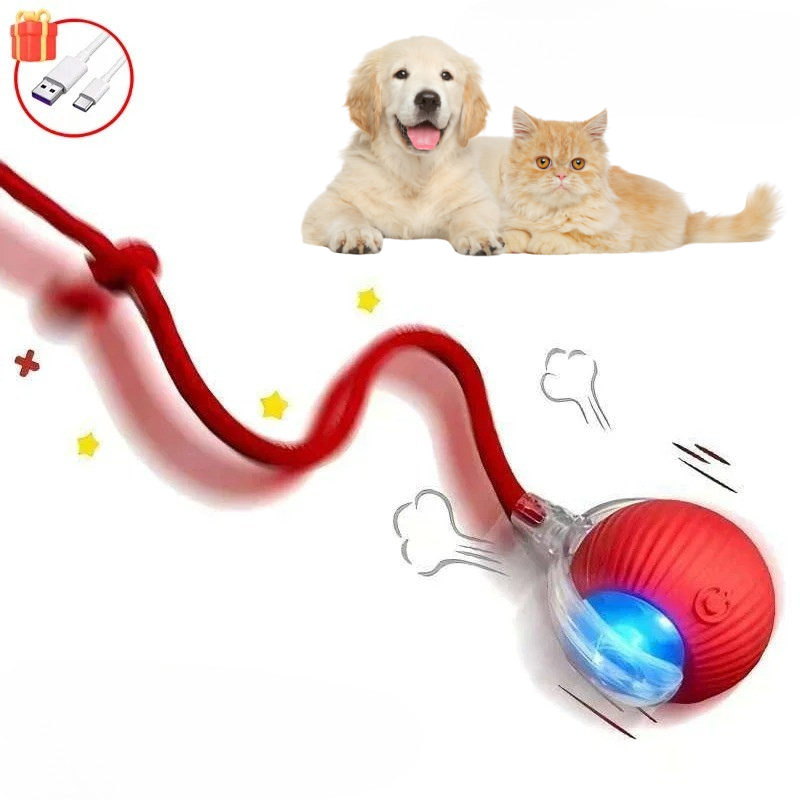 WhiskerChase™ Smart Tail Ball