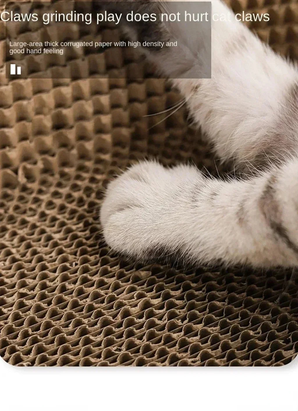 Clawtopia™ Oval Cat Lounge & Scratcher
