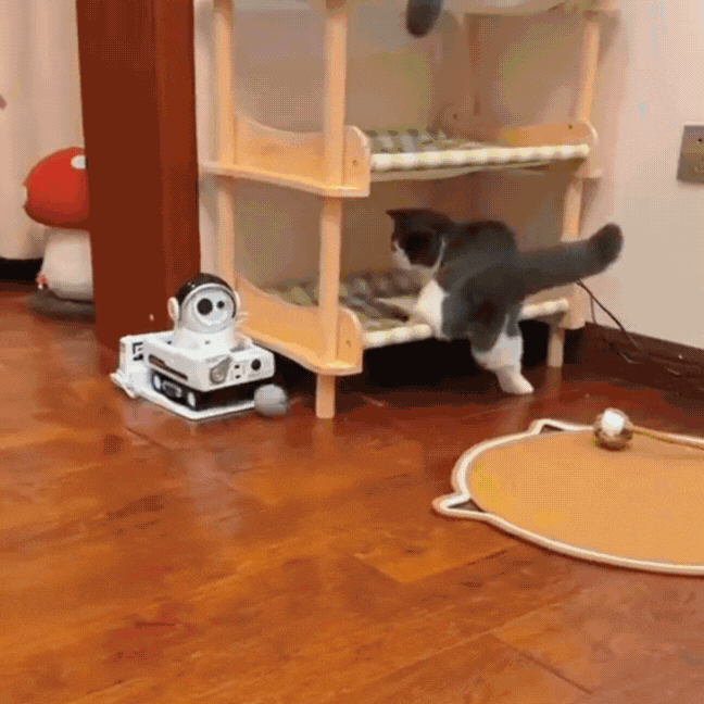 WhiskerChase™ Smart Tail Ball