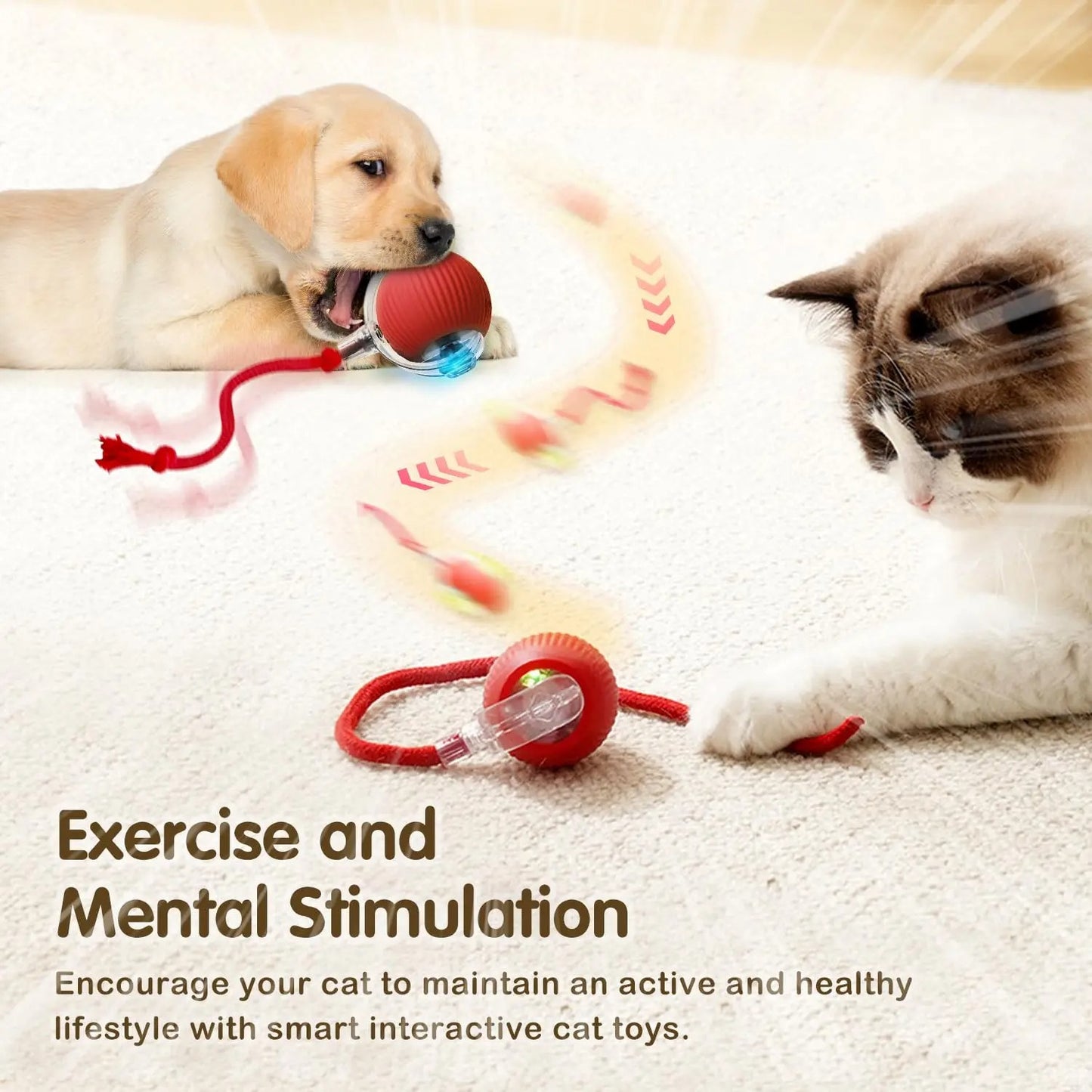WhiskerChase™ Smart Tail Ball