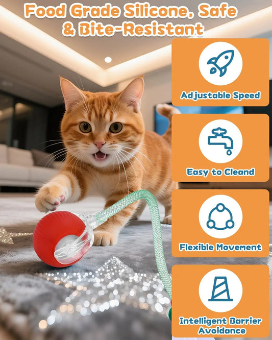 WhiskerChase™ Smart Tail Ball