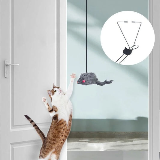 Petzure DoorDart™ Elastic Teaser Toy