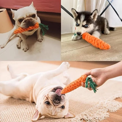 CrunchCarrot Rope Chew Toy