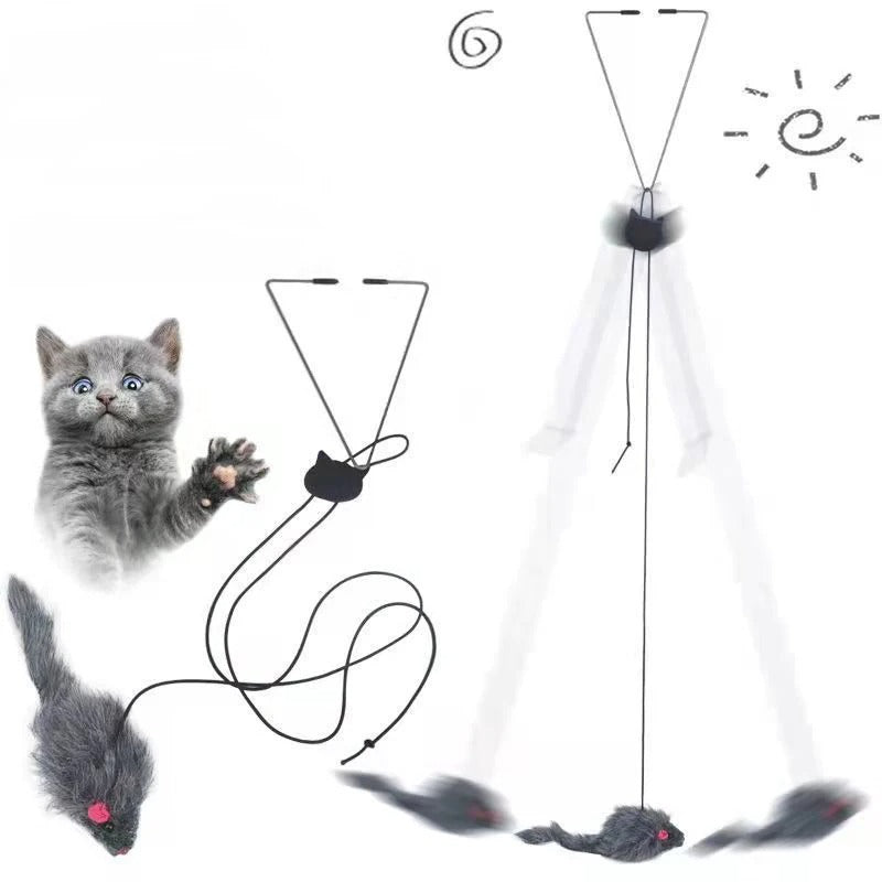 Petzure DoorDart™ Elastic Teaser Toy