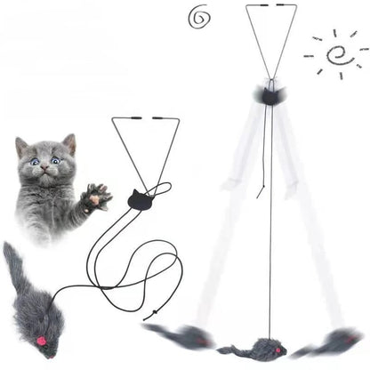 Petzure DoorDart™ Elastic Teaser Toy