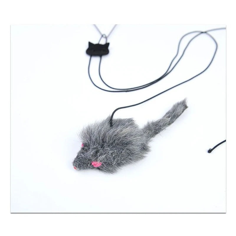 Petzure DoorDart™ Elastic Teaser Toy