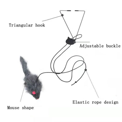 Petzure DoorDart™ Elastic Teaser Toy