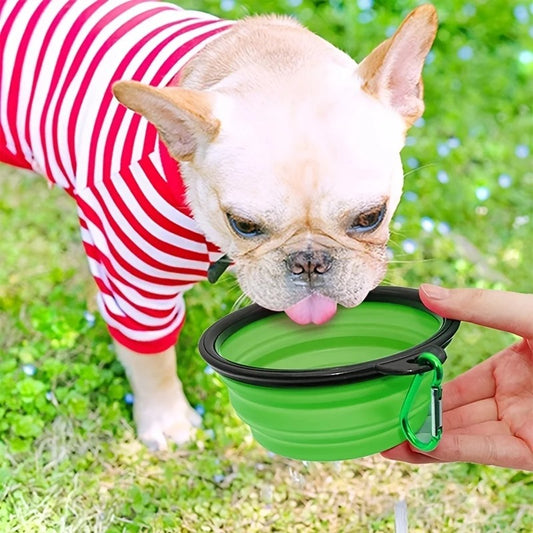 Collapsible Travel Bowl