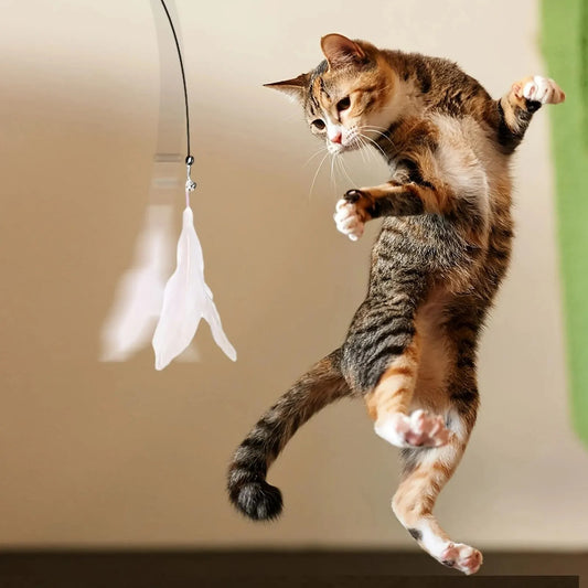 Petzure FeatherFrenzy™ Suction-Cup Cat Teaser Wand