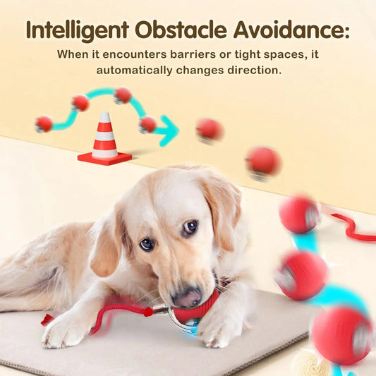 WhiskerChase™ Smart Tail Ball